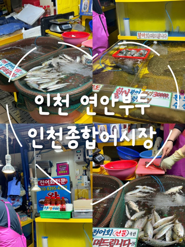  연안부두 인천종합어시장에서 만난 가을 전어와 병어회, 신선한 해산물 구경!”
