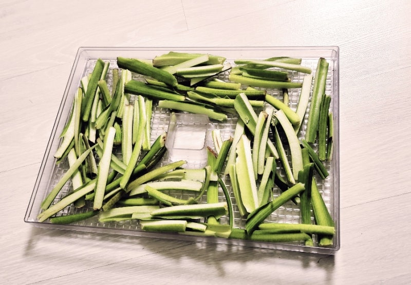 토란대 껍질# 토란대 건조기에 말리기