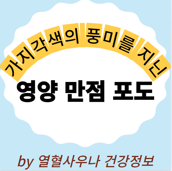  포도 효능 제철 종류 완벽정리