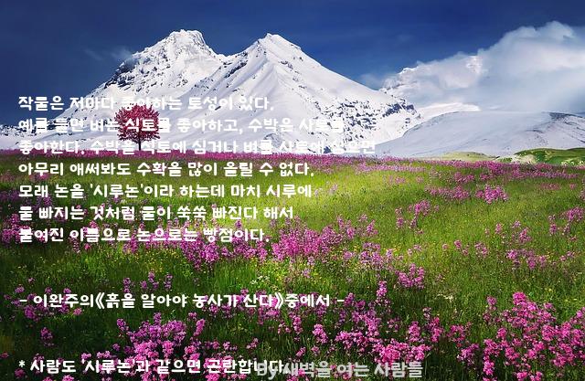 작물 작물
