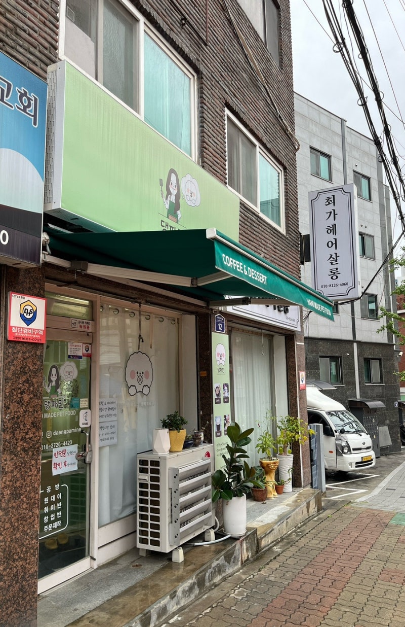사진 6