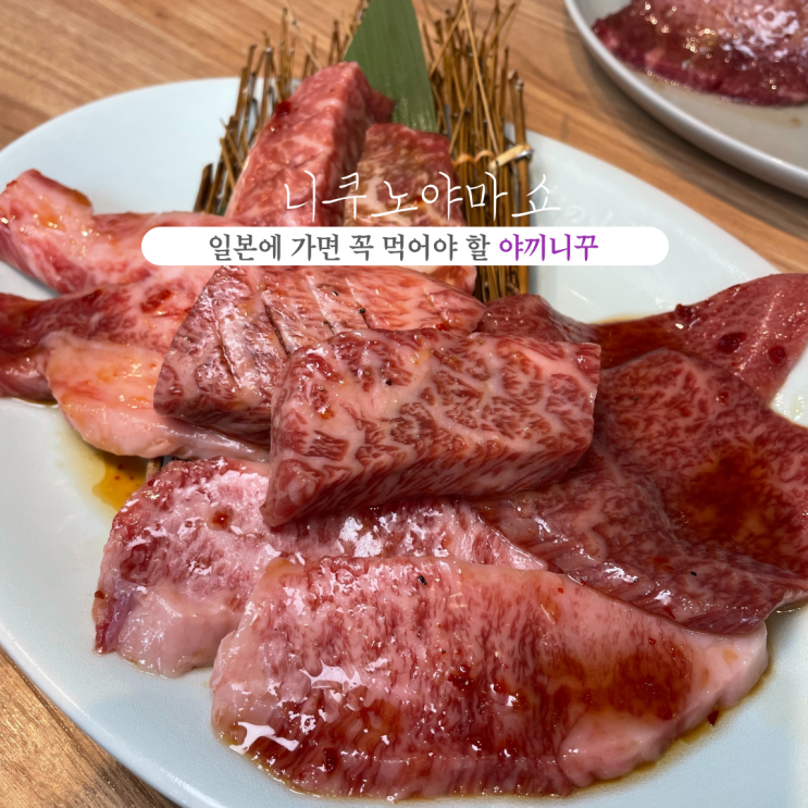  [일본 후쿠오카] 니쿠노야마쇼 : 후쿠오카 방문하면 꼭 먹어야 할 야끼니꾸 맛집