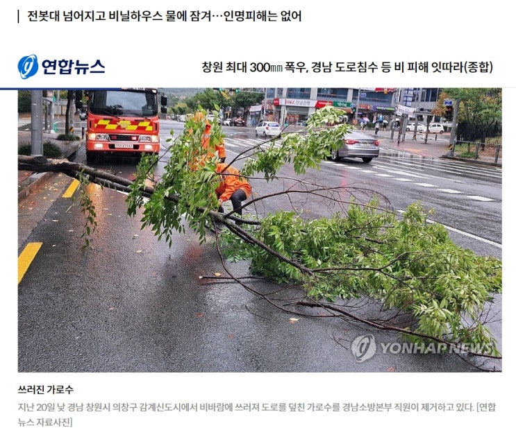  무더위에 비는 반갑지만 이 정도를 원하는 건 아니었는데...