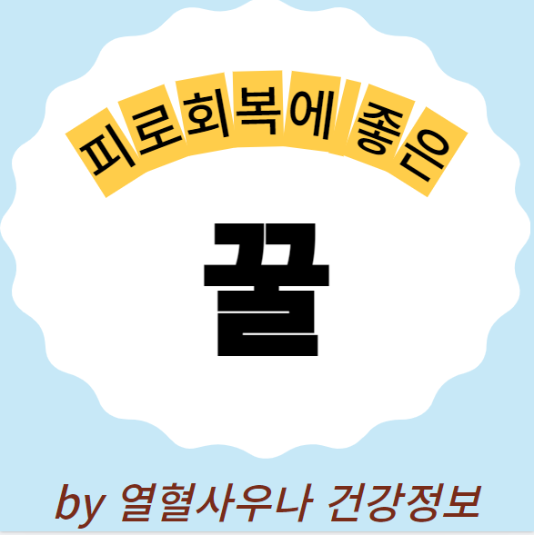  꿀 효능 종류 완벽정리