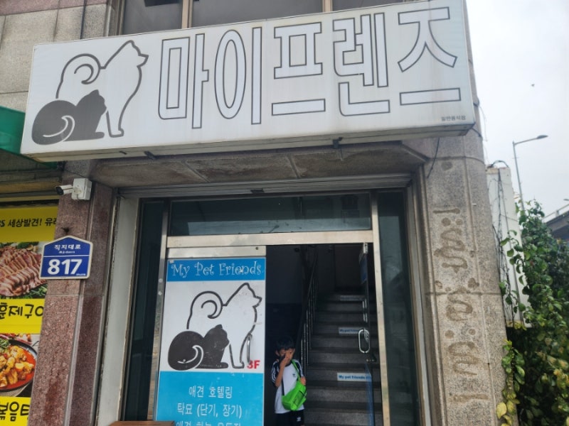 사진 2
