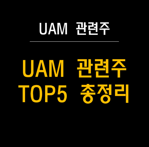  UAM 산업의 미래: UAM 관련주 TOP5