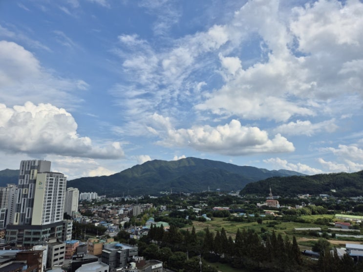  이번주 일상