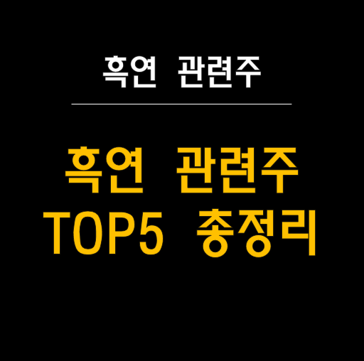 전기차 시장의 성장과 흑연 수요: 흑연 관련주 TOP5
