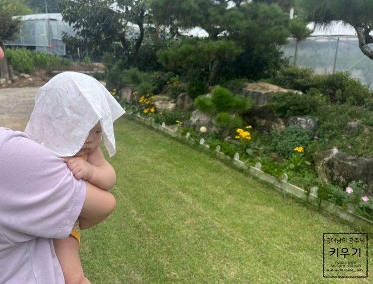  아이와 시골에서 추석 일주일 살기 일상과 먹부림 일기