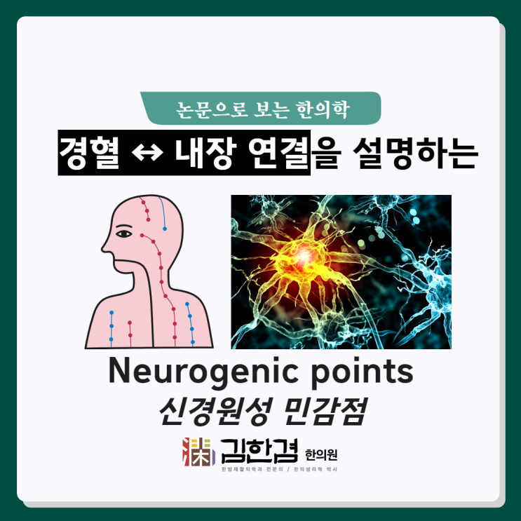  피부에 침을 놓는데 어떻게 내장이 좋아질까? 둘이 연결되어있기 때문!