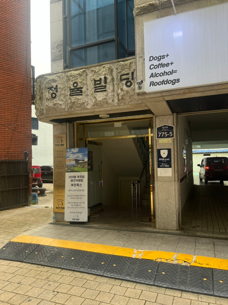 사진 3