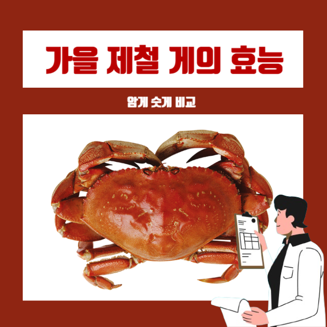  가을 제철 암게와 숫게 효능 및 비교