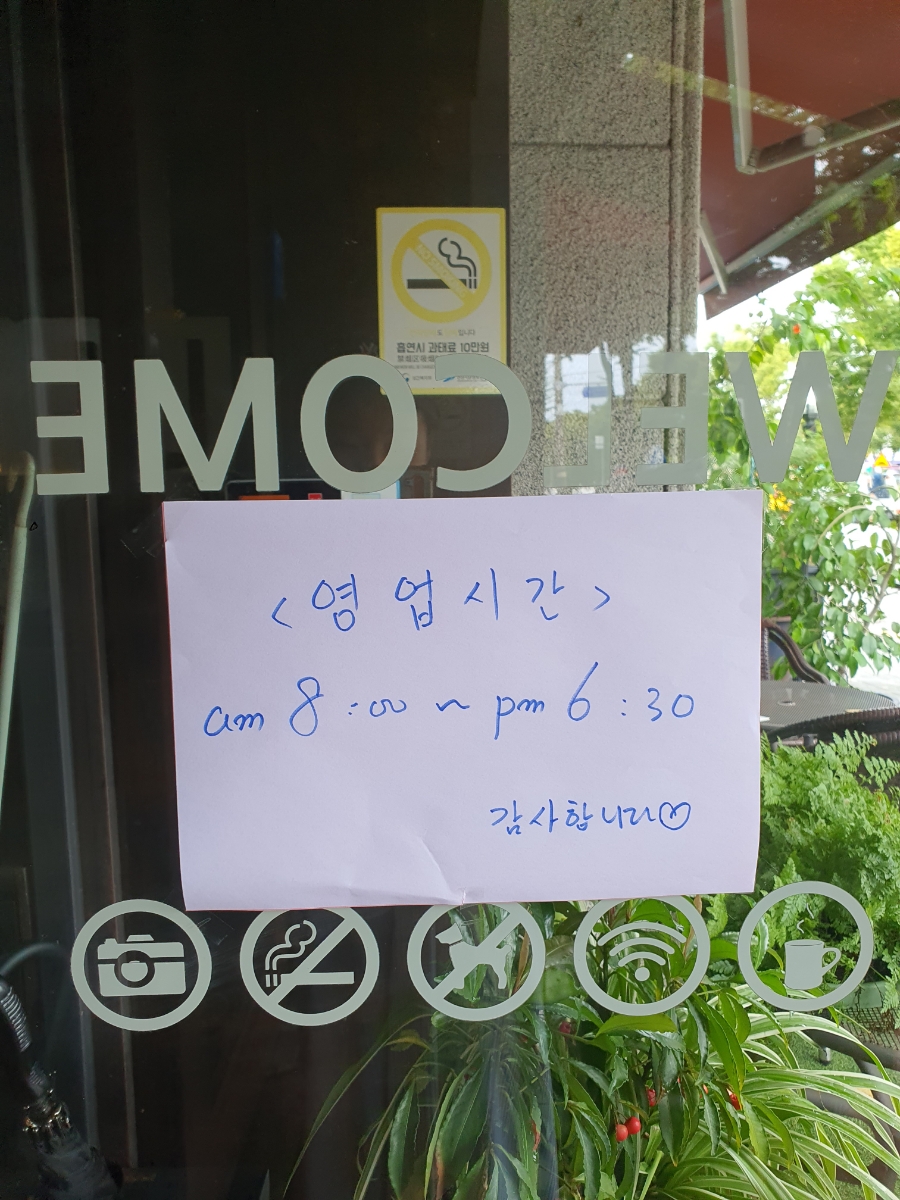 레드피에로 사진 2