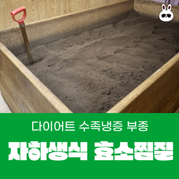  관악구 다이어트 생리통 혈액순환 수족냉증에 좋은 자하생식 효소찜질