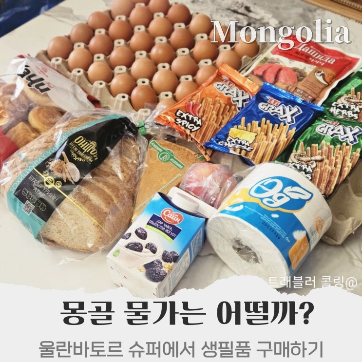  몽골 물가 원 투그릭 환율 비교, 마트에서 장보기 과자 간식 추천
