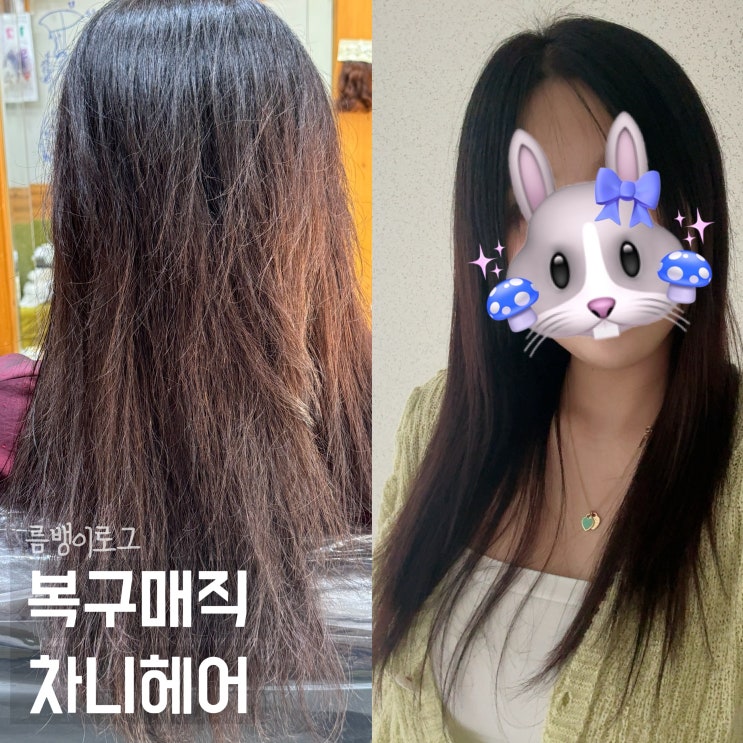  대전 미용실 상한 머리 해결 복구 매직 차니헤어