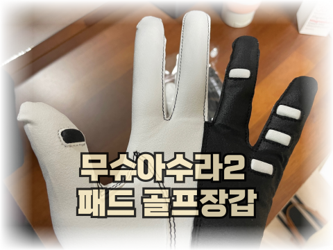  기능성 패드 골프장갑 무슈 아수라2 골프장갑 그립교정 바른 백스윙탑 연습