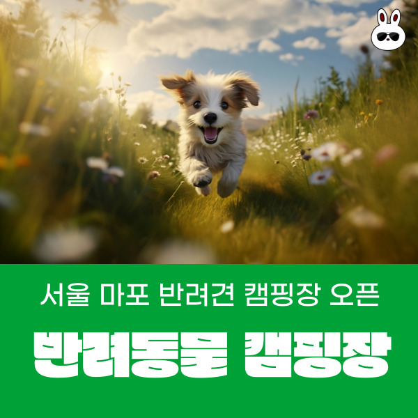  서울 반려견과 함께하는 마포 반려동물캠핑장 오픈 예약 방법!