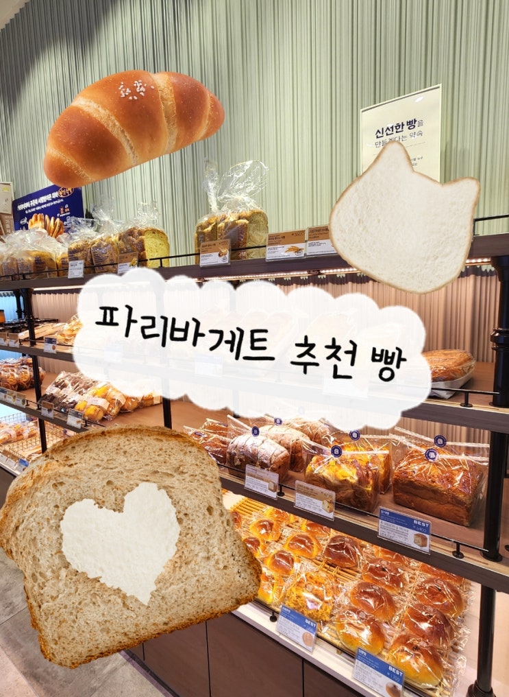  인천 부평 빵집 추천 갈산역 파리바게트 할인 이벤트