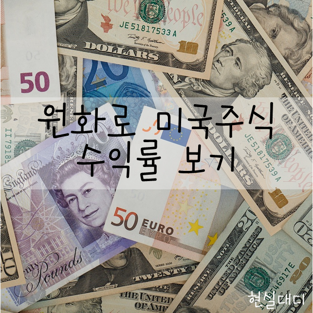  [정보] 환율 차이를 반영해서 보는 내 미국 주식들