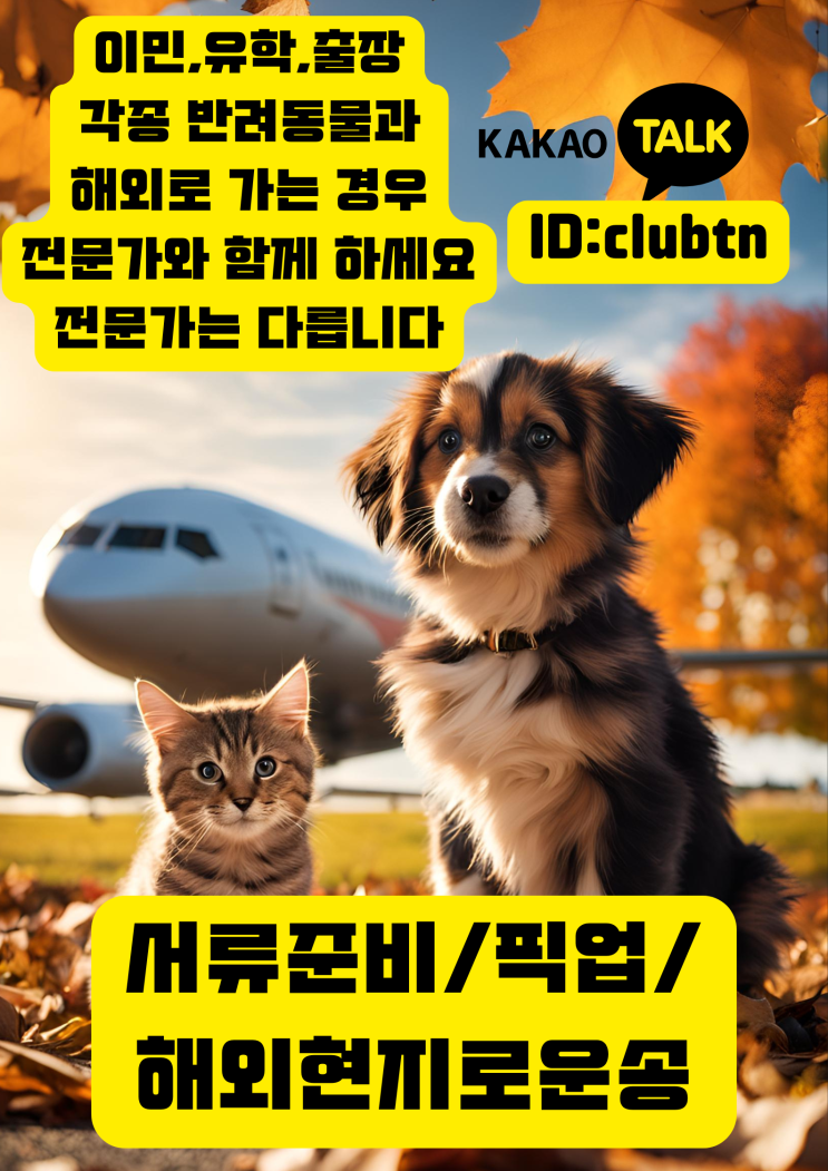  ️  반려동물 해외운송 애완동물출국 입국 전문 서비스 
