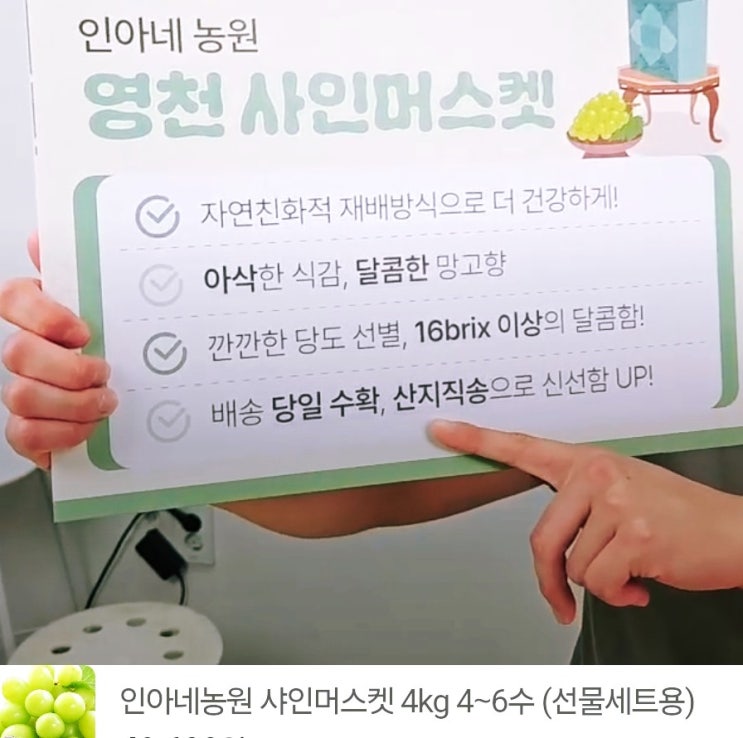 경북 영천 나무에서 집으로 직배송 인아네 농원의 샤인 머스캣 라이브 방송 이야기