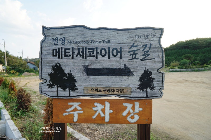 사진 8