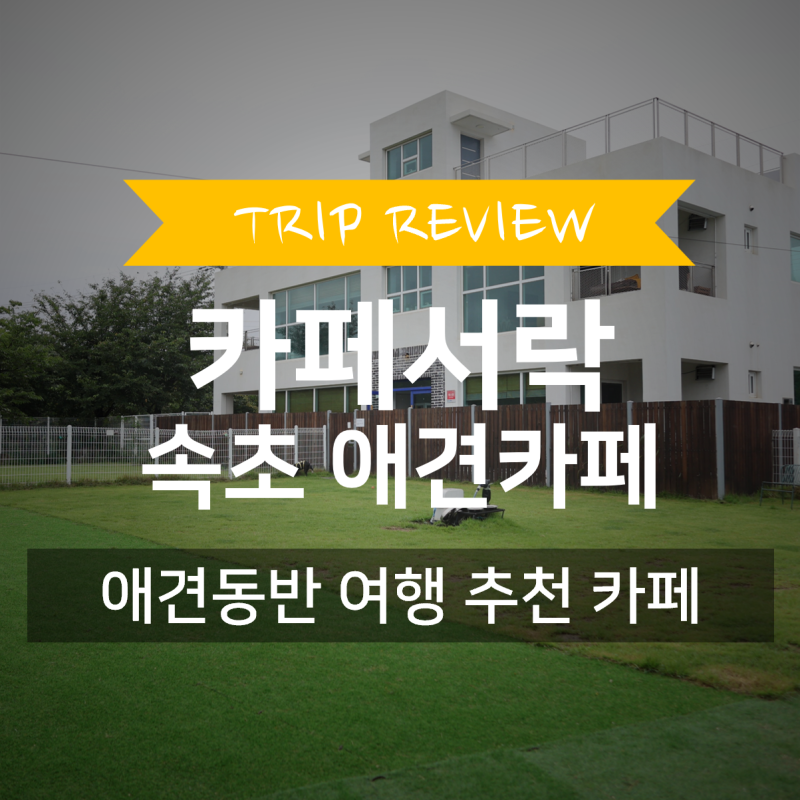 사진 6