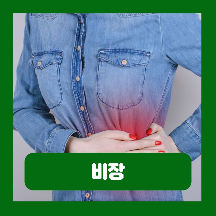  비장의 기능 위치 비대증 통증 증상 원인 제거 후유증