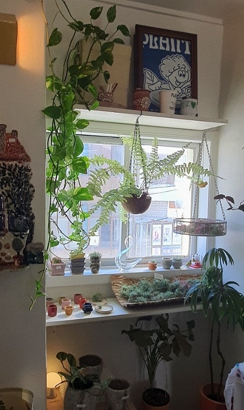 해리단길소품샵 팟샵 potshop , 식집사님들 모여보세요 해리단길소품샵 팟샵 potshop , 식집사님들 모여보세요