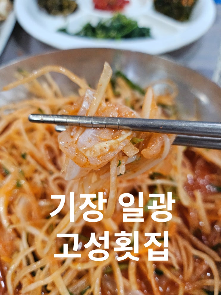  부산 일광 횟집 고성횟집 물회 회덮밥 후기