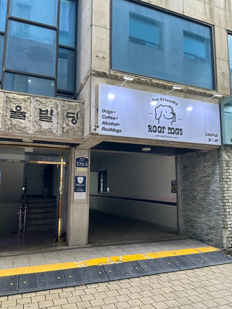 사진 6