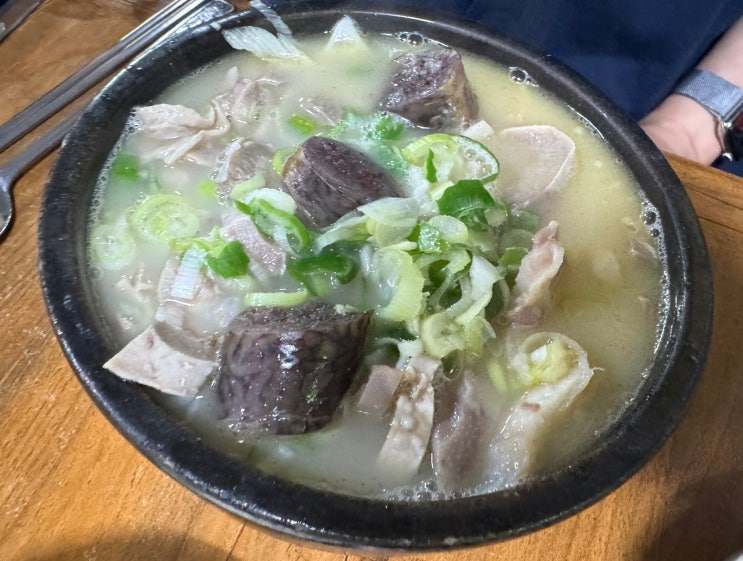  장성 국밥 맛집 황룡우시장국밥에서 아침식사 해장 추천
