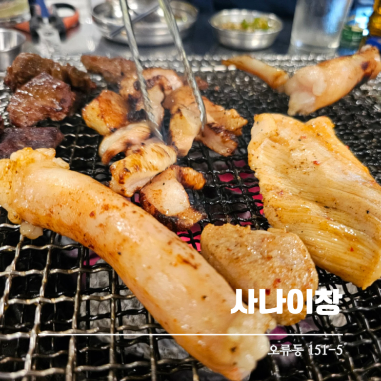  서대전네거리 오류동먹자골목 맛집 사나이창 신선하고 맛있는 막창 대창