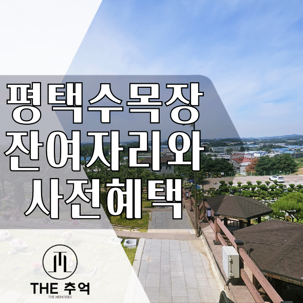  평택수목장:서호추모공원 수목장 잔여 자리와 사전 혜택 알아보기