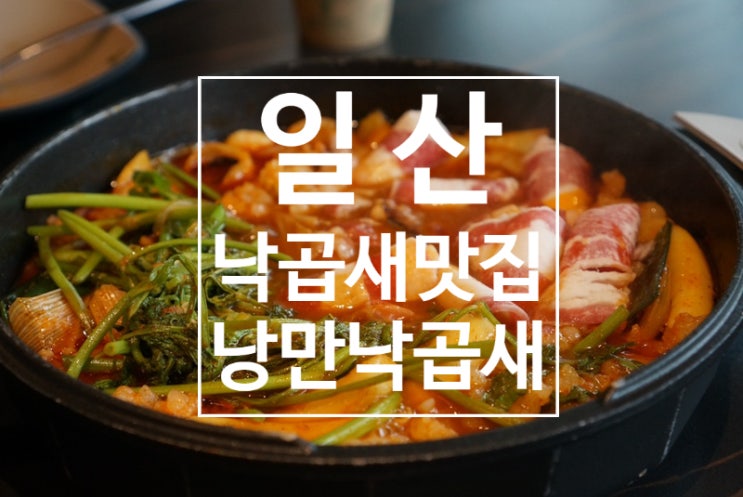  일산 맛집 제주감성의 낙곱새레스토랑 낭만낙곱새