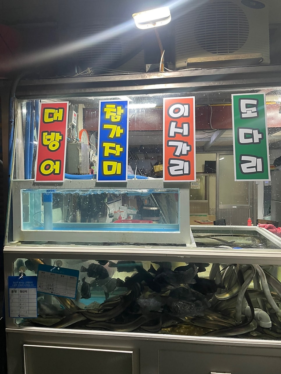 제주수산 사진 2