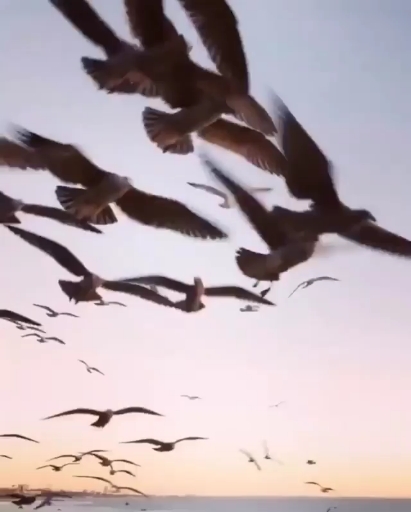 기회 기회