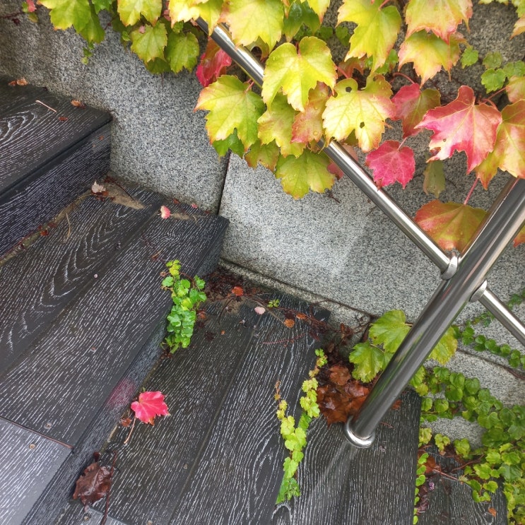  감정은 바람 같은 것 스스로 회오리를 만들지 말자