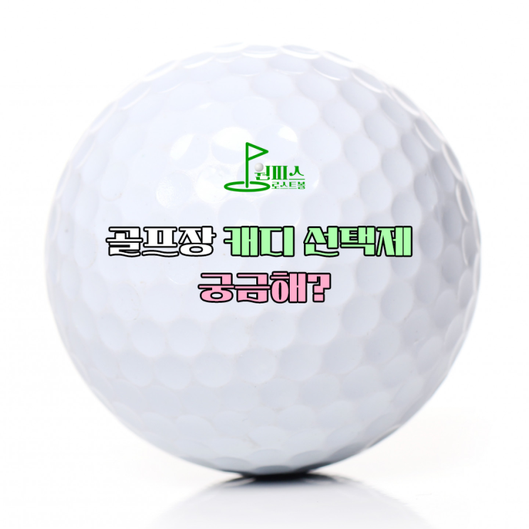  골프장 캐디 선택제 궁금해?