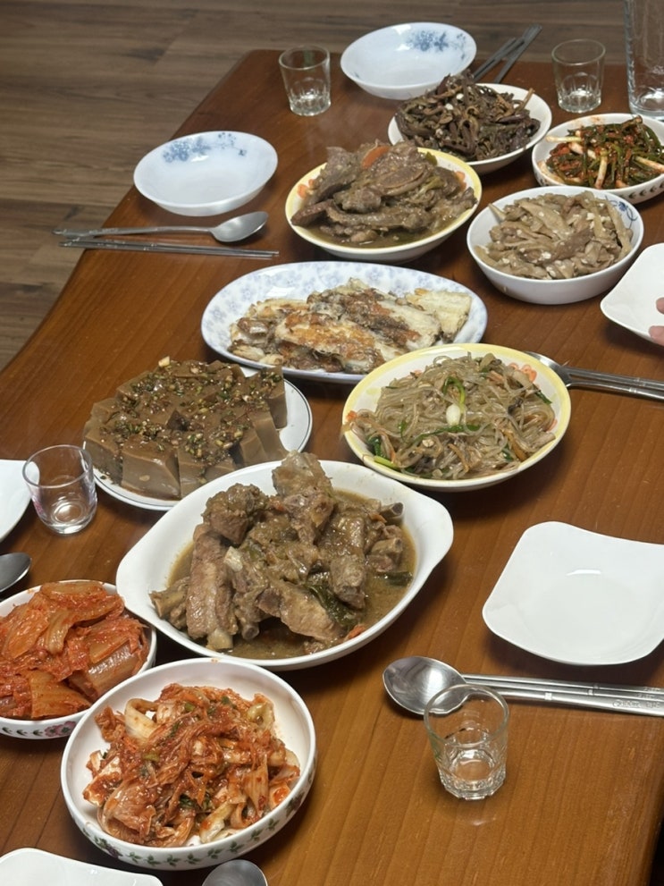  9월 셋째주_냐암의 일상 몰아보기