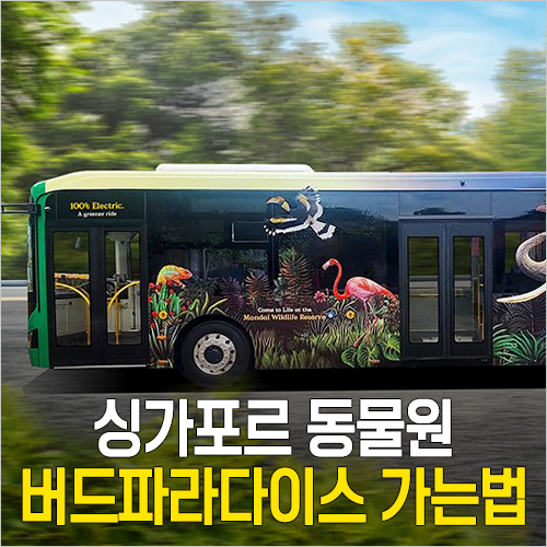  싱가포르 동물원 & 버드파라다이스 가는법 - 택시, MRT 카팁역 만다이 셔틀버스 & 소요시간