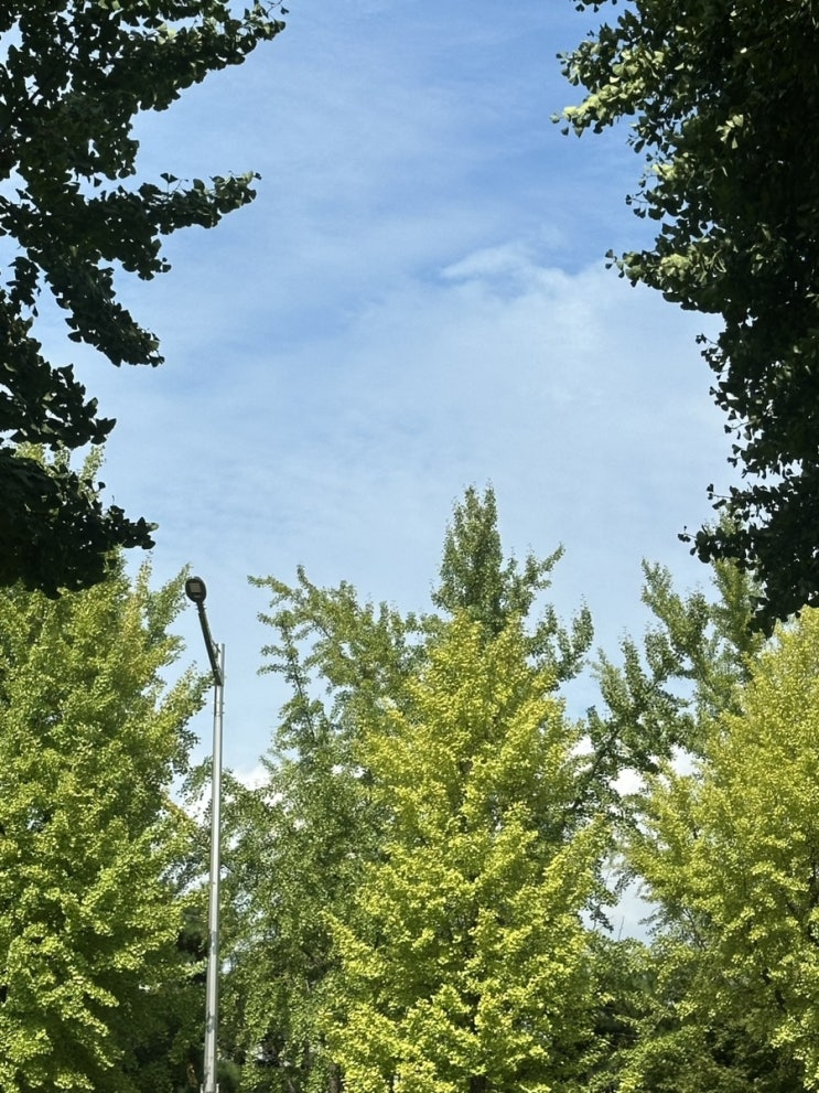  2409 포포토토덤덤프프