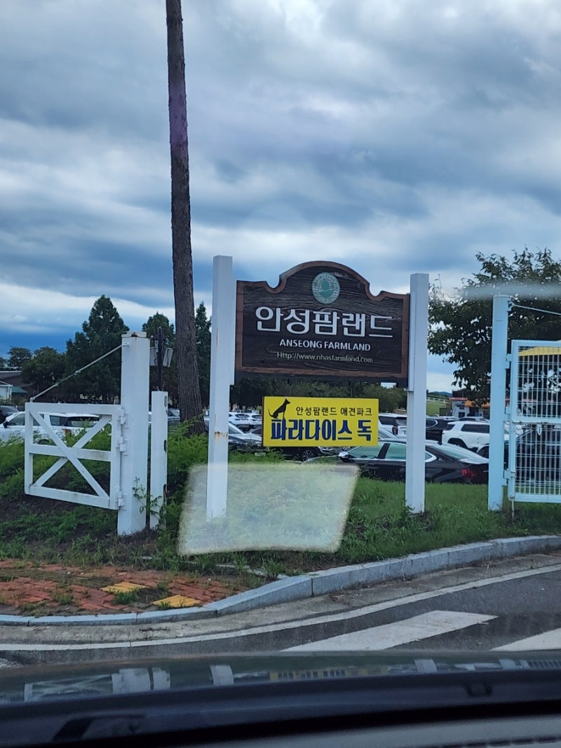 사진 3