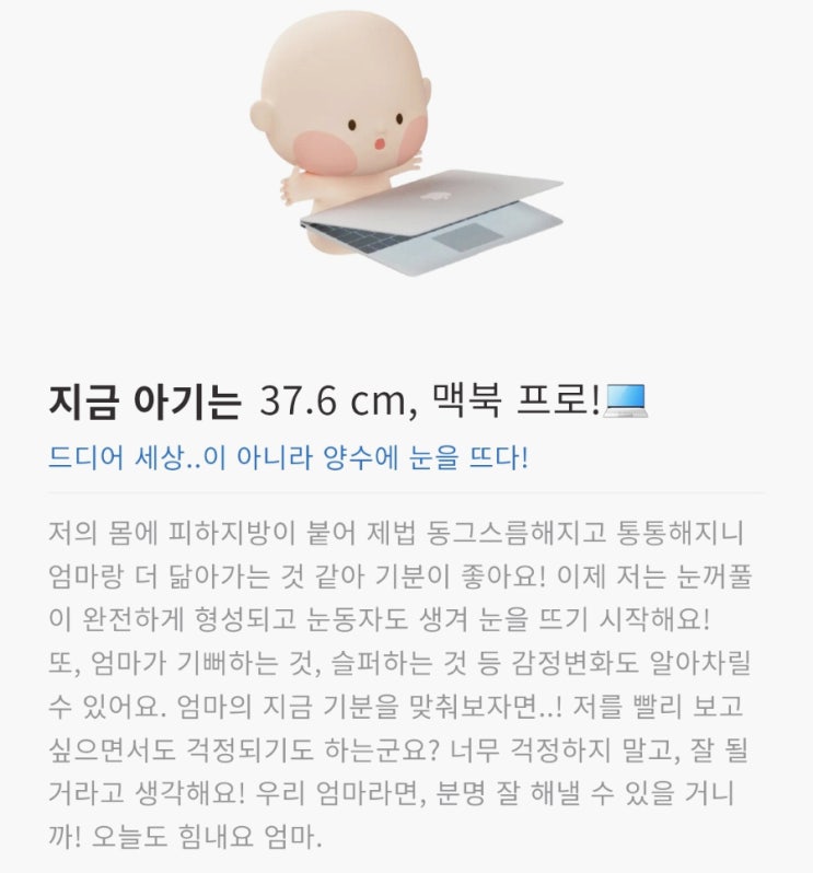  [임신일기] 응급상황 발생했던 29주 태동, 식단