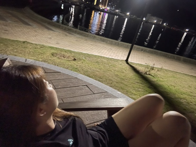  일상을 올려보자 영차영차