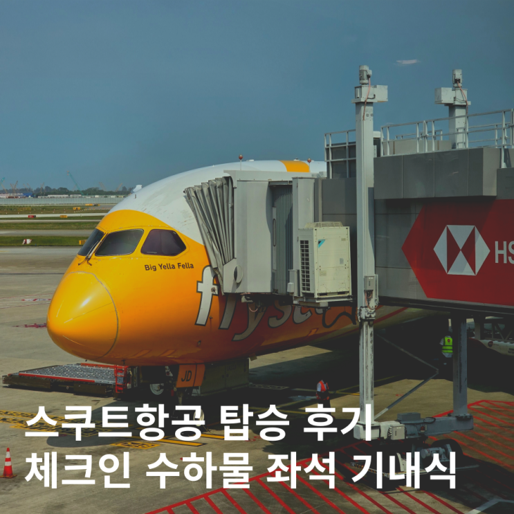 스쿠트항공 후기 싱가포르 경유 발리 수하물 체크인 좌석 기내식