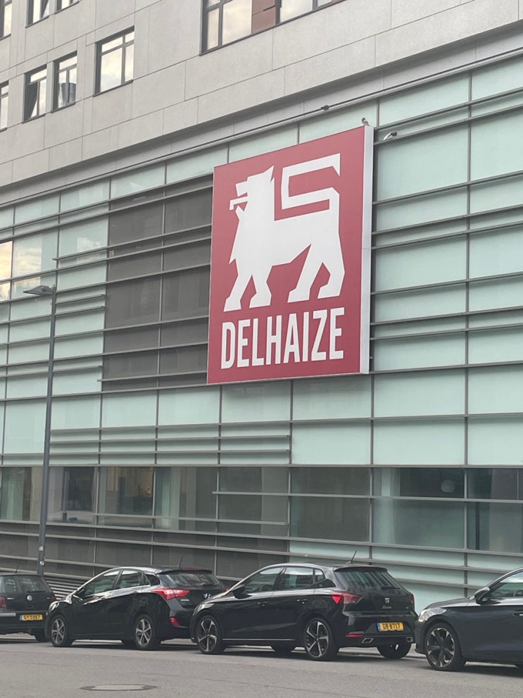  벨기에 슈퍼마켓 체인, DELHAIZE