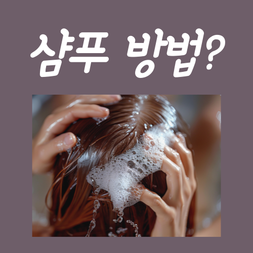 샴푸 제대로 하는법? 이 '3가지'만 지키시면 됩니다