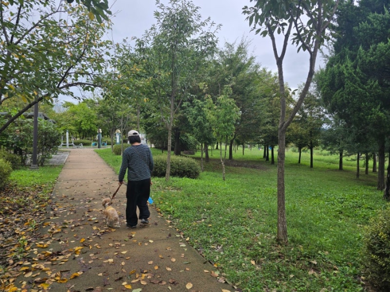 사진 6